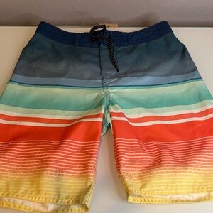 Quiksilver Blue and Multicolor Striped Board Shorts